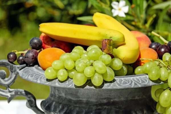 Thailand’s Export Growth Driven by Four Key Fruits