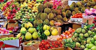 Thailand’s Ambitious Push for Fruit Export Dominance