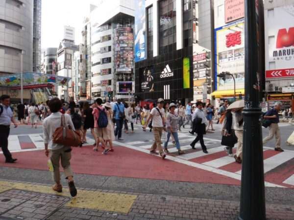 The Enduring Charm of Japan Among Thai Tourists